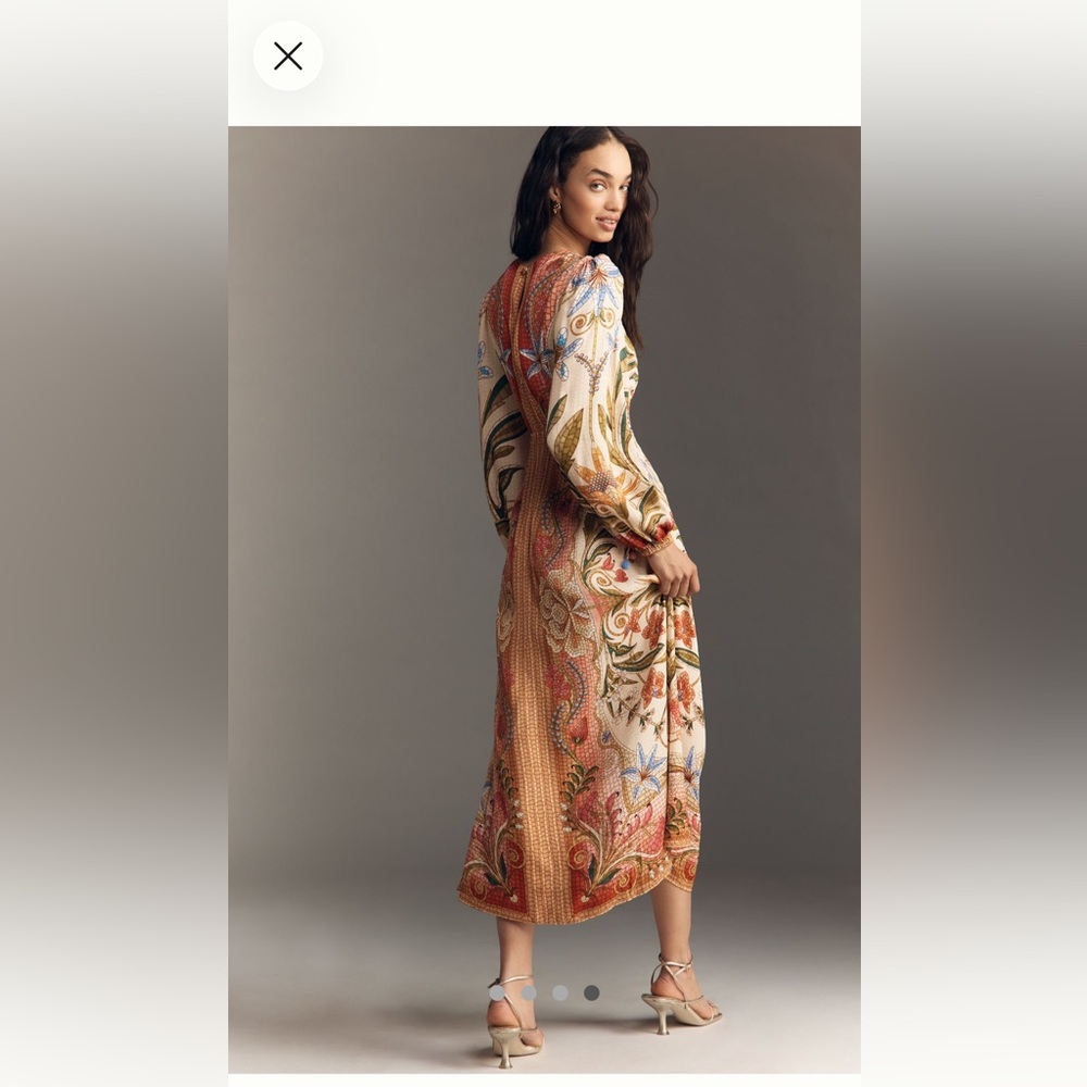 Farm Rio X Anthropologie maxi dress - Picture 4 of 4